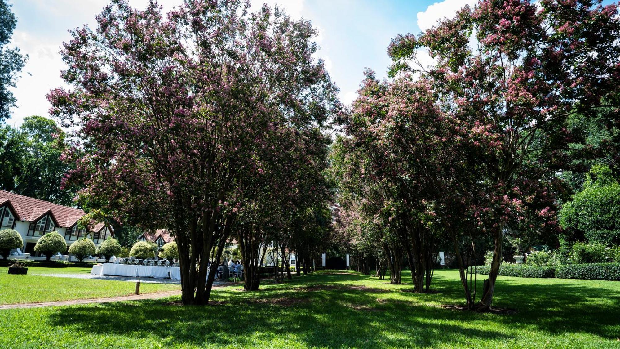 River Meadow Manor Centurion Ngoại thất bức ảnh